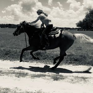 Meet your Posher, Erin